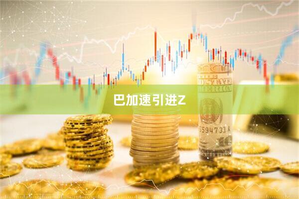 巴加速引进Z