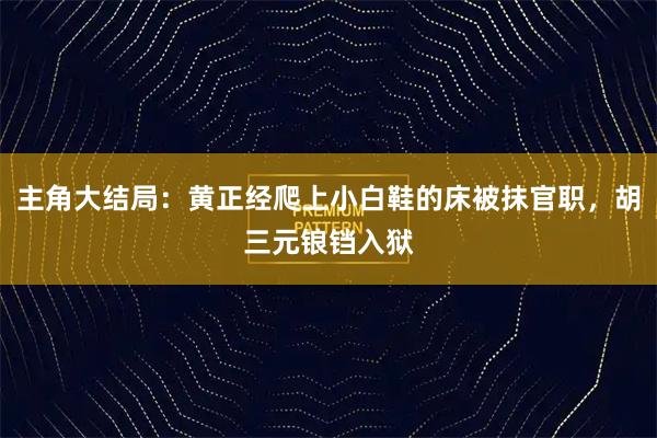 主角大结局：黄正经爬上小白鞋的床被抹官职，胡三元锒铛入狱